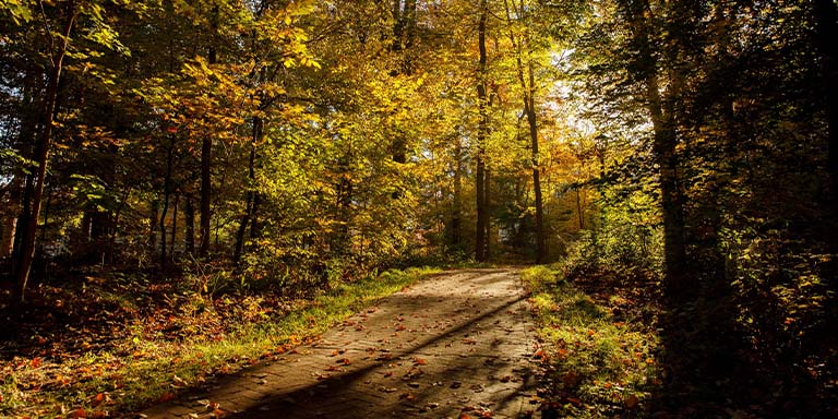 Indiana University Bloomington fall campus scene